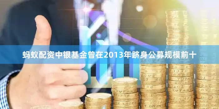 蚂蚁配资中银基金曾在2013年跻身公募规模前十
