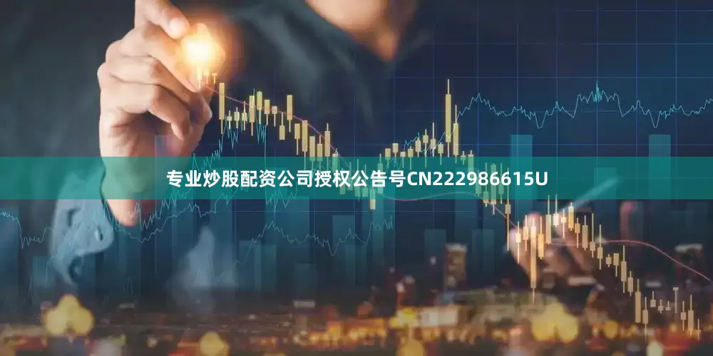 专业炒股配资公司授权公告号CN222986615U