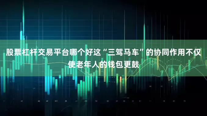股票杠杆交易平台哪个好这“三驾马车”的协同作用不仅使老年人的钱包更鼓