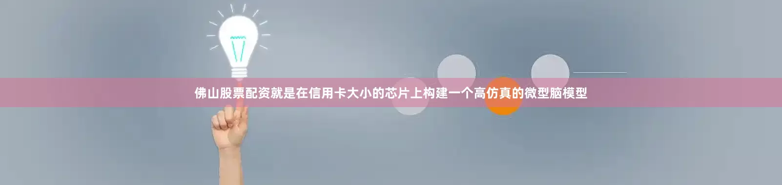 佛山股票配资就是在信用卡大小的芯片上构建一个高仿真的微型脑模型