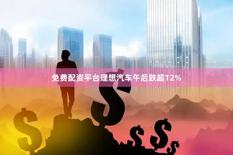 免费配资平台理想汽车午后跌超12%
