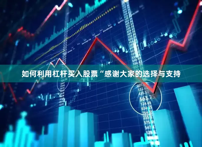 如何利用杠杆买入股票“感谢大家的选择与支持