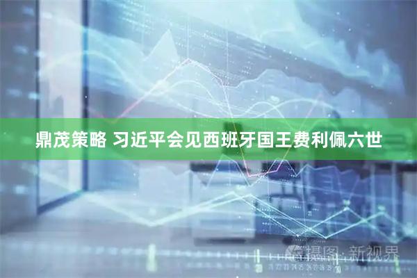 鼎茂策略 习近平会见西班牙国王费利佩六世
