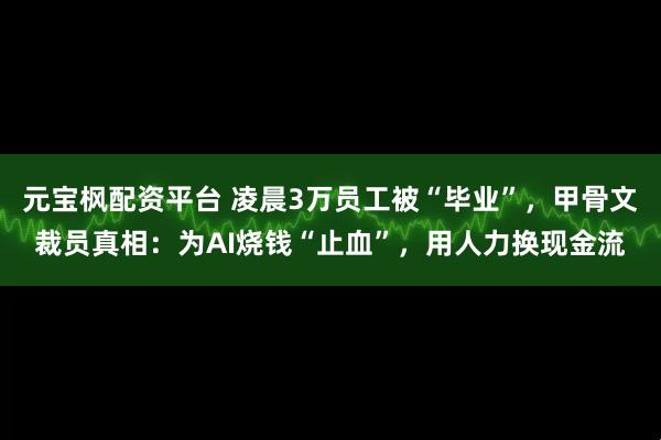元宝枫配资平台 凌晨3万员工被“毕业”，甲骨文裁员真相：为AI烧钱“止血”，用人力换现金流