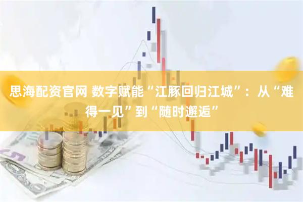 思海配资官网 数字赋能“江豚回归江城”：从“难得一见”到“随时邂逅”